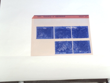 microfiche sheet, Victorian Land Tiltes Office, Township of Beechworth