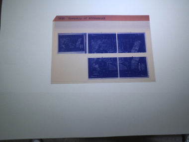 microfiche sheet, Victorian Land Tiltes Office, Township of Rutherglen