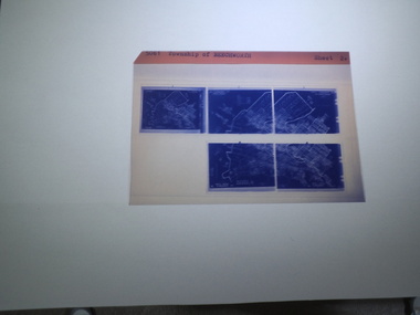 microfiche sheet, Victorian Land Tiltes Office, Township of Beechworth