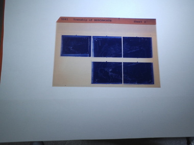 microfiche sheet, Victorian Land Tiltes Office, Township of Beechworth