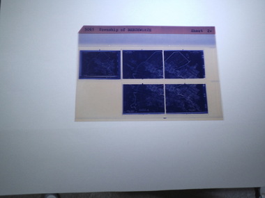 microfiche sheet, Victorian Land Tiltes Office, Township of Beechworth