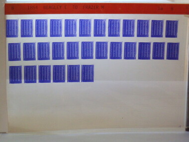Microfiche, Births Register Index