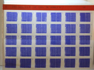 Microfiche, Births Register Index