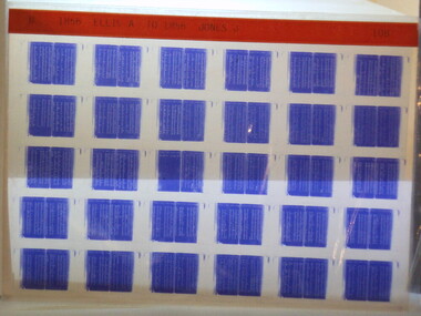 Microfiche, Births Register Index