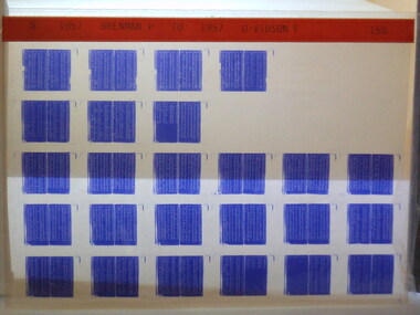Microfiche, Births Register Index