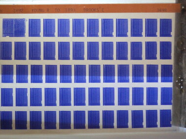 Microfiche, Births Register Index