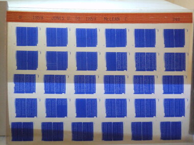 Microfiche, Births Register Index