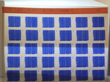Microfiche, Births Register Index