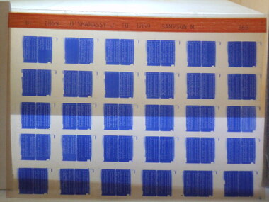Microfiche, Births Register Index