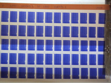 Microfiche, Births Register Index