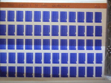 Microfiche, Births Register Index