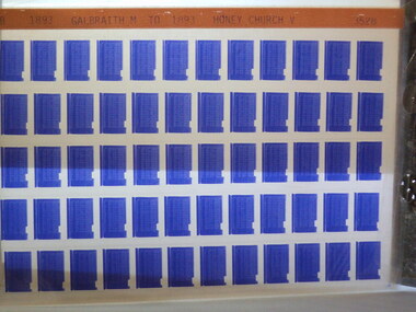 Microfiche, Births Register Index