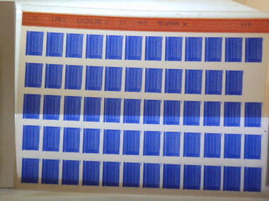 Microfiche, Births Register Index