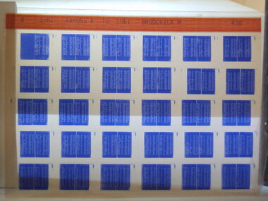 Microfiche, Births Register Index