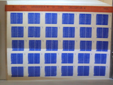 Microfiche, Births Register Index