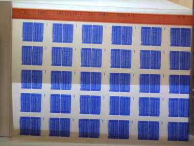 Microfiche, Births Register Index
