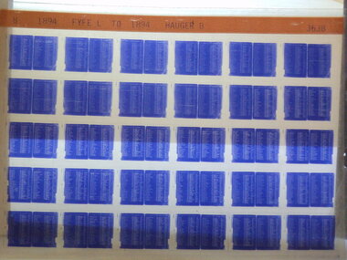 Microfiche, Births Register Index