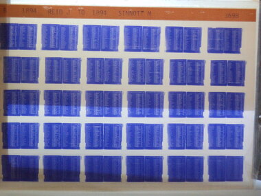 Microfiche, Births Register Index