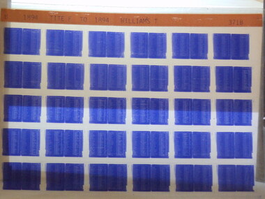 Microfiche, Births Register Index