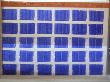 Microfiche, Births Register Index