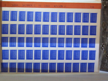 Microfiche, Births Register Index