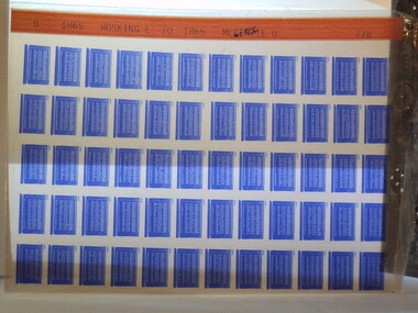 Microfiche, Births Register Index