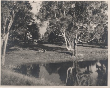 Image, Robert B Billings, c1953