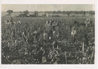 Photograph - Image, 1920s