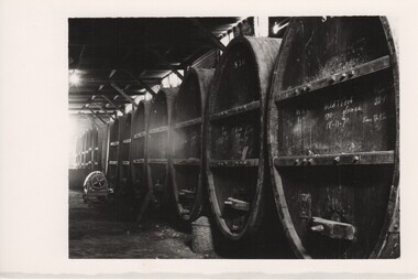 Photograph - Image, 1970s
