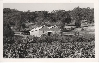 Image, 1970s
