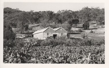 Image, 1970s