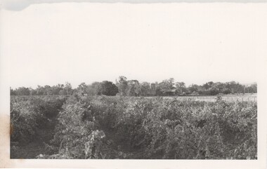 Image, 1970s