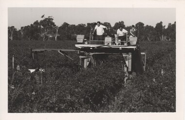 Image, 1970s