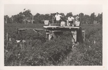 Photograph - Image, 1970s