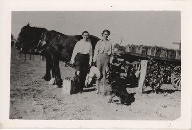 Image, 1940s