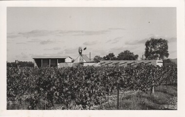 Image, 1970s