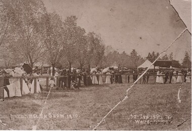 Image, A J Evans, 1910