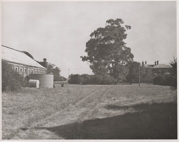 Image, 1960s