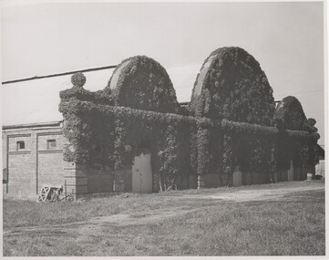 Image, 1960s