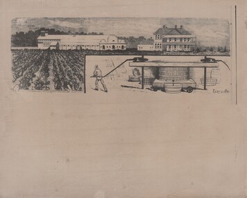 Photograph - Image, Australasian, Among the Rutherglen Vineyards, 23/03/1889