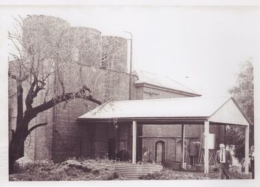 Image, Olive Codling
