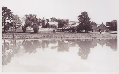 Image, Olive Codling