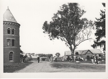 Image, Olive Codling