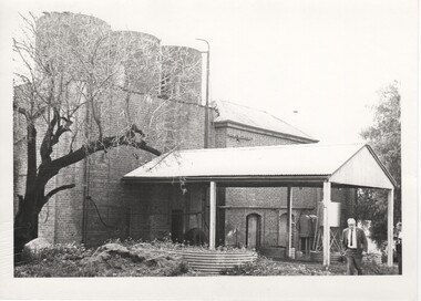 Image, Olive Codling