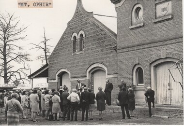 Image, Olive Codling