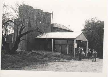 Image, Olive Codling