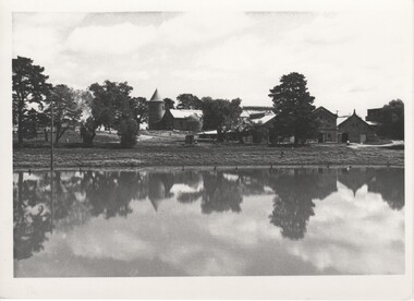 Image, Olive Codling
