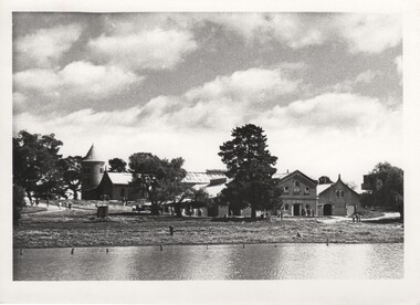 Image, Olive Codling