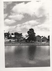 Image, Olive Codling