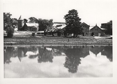 Image, Olive Codling